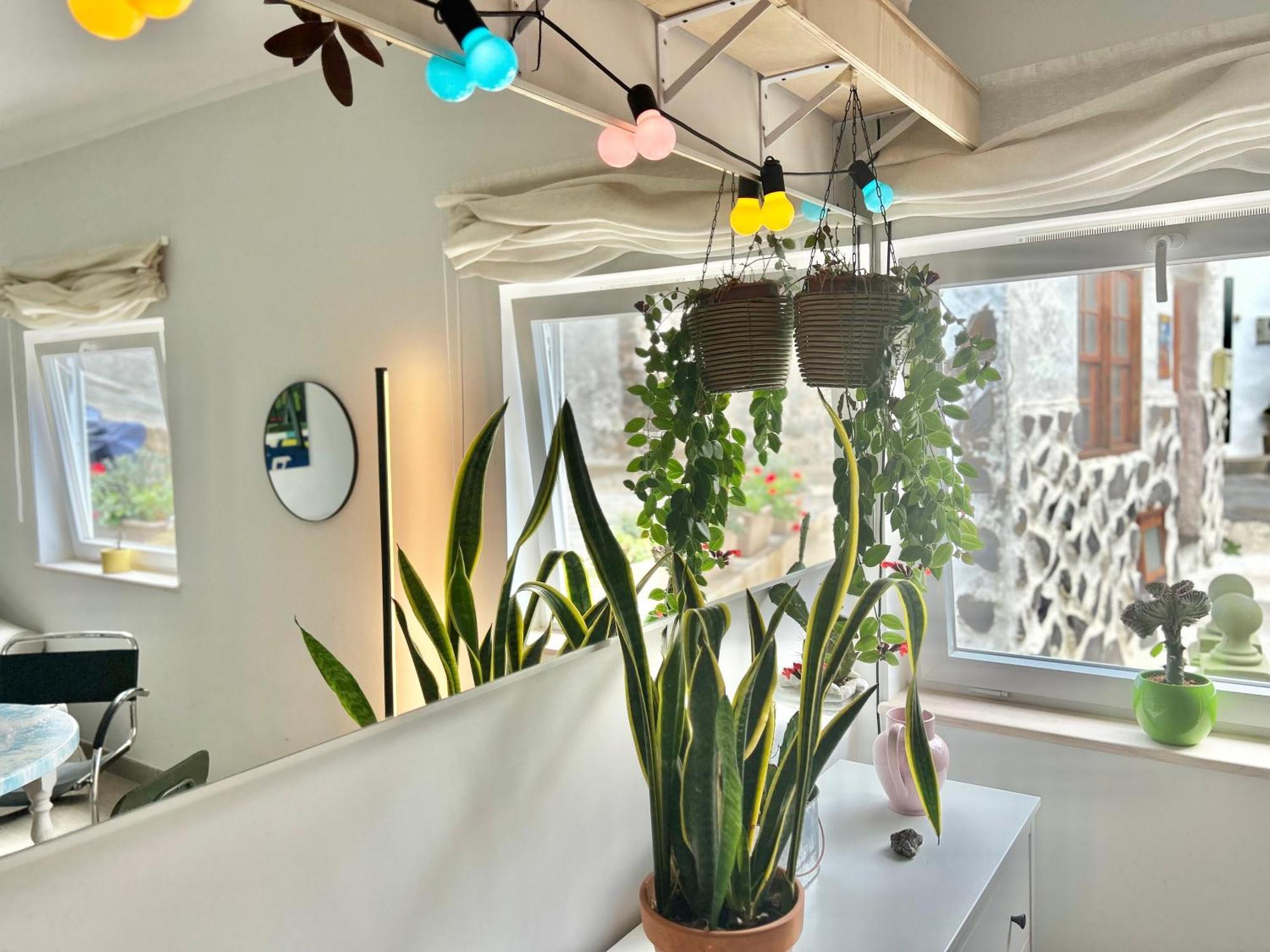 Perro Y Osito Apartment การาชิโก ภายนอก รูปภาพ