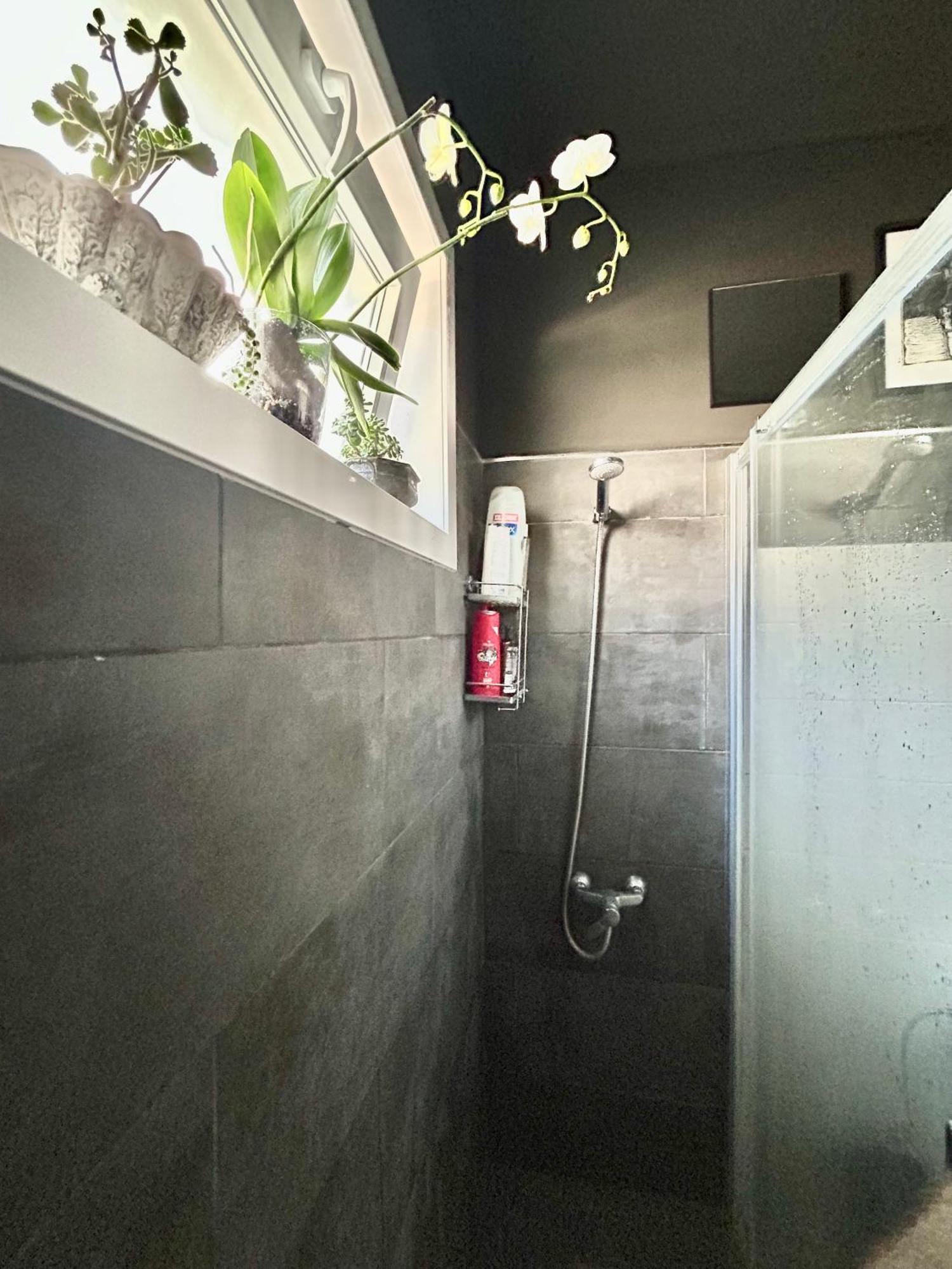 Perro Y Osito Apartment การาชิโก ภายนอก รูปภาพ