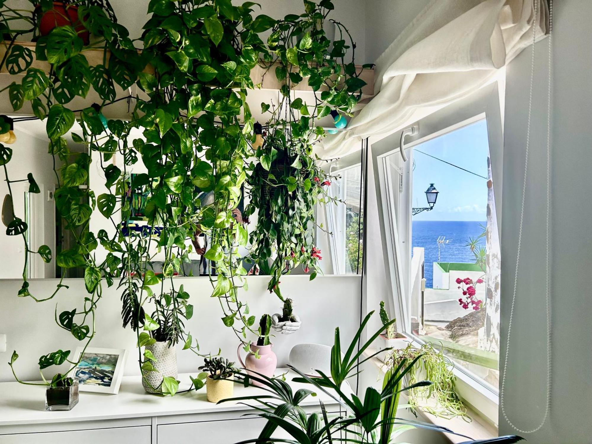 Perro Y Osito Apartment การาชิโก ภายนอก รูปภาพ