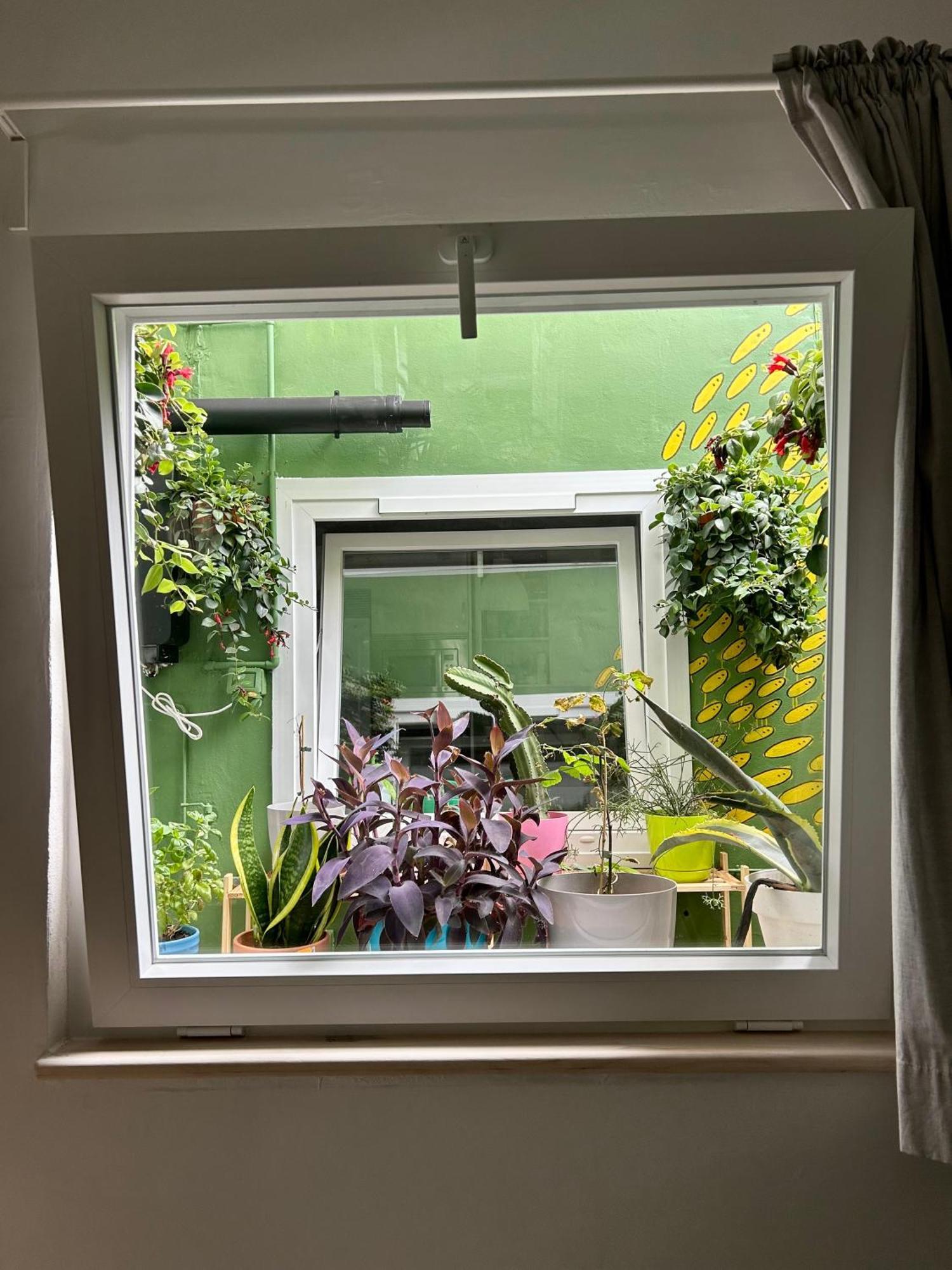 Perro Y Osito Apartment การาชิโก ภายนอก รูปภาพ